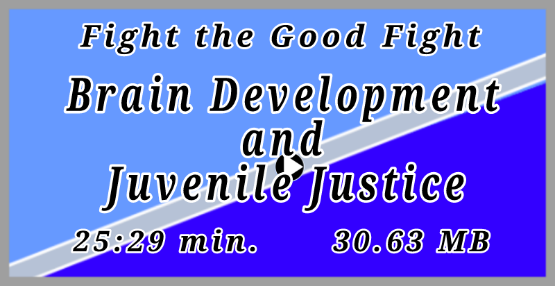 Brain Development and Juvenile Justice podcast (25:29 min, 30.63 MB)